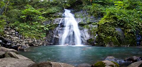 Pura vida gardens and waterfalls